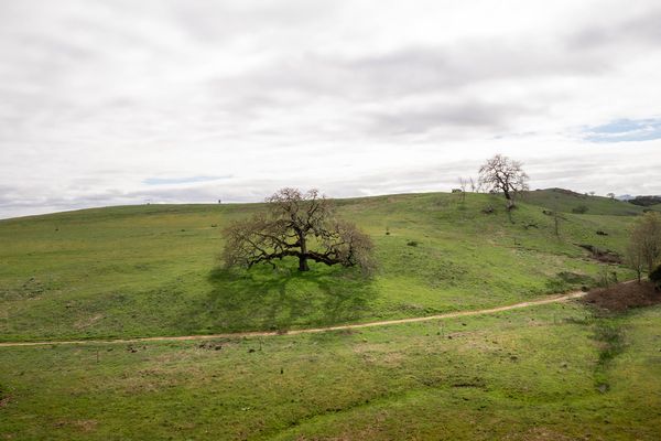 Sonoma County landscape — photography by Jaime Viera