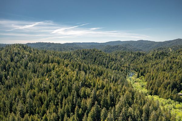 Timber Cove & Sonoma Coast project photo 1 — Sonoma Residential Services