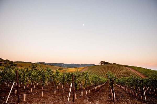Sonoma County landscape — photography by Jaime Viera