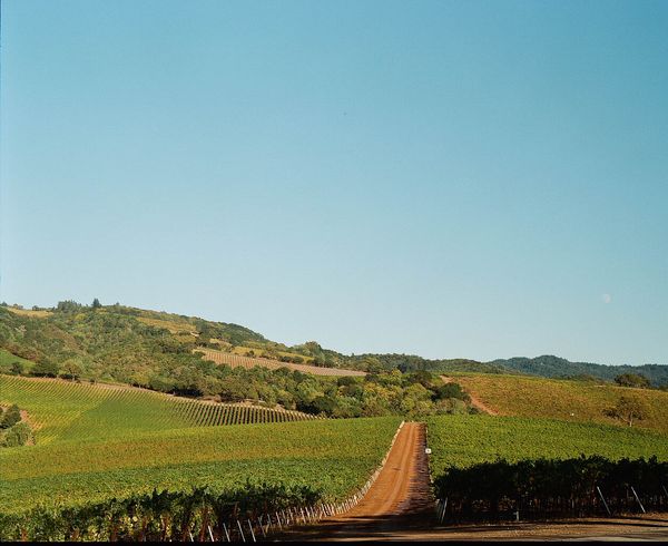Sonoma County landscape — photography by Jaime Viera