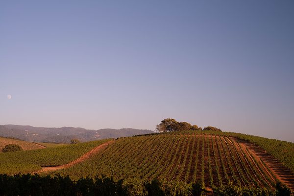 Sonoma County landscape — photography by Jaime Viera