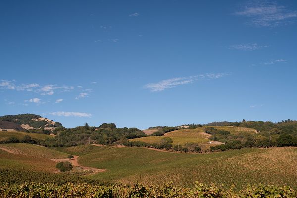 Sonoma County landscape — photography by Jaime Viera