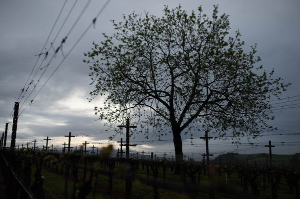 Sonoma County landscape — photography by Jaime Viera