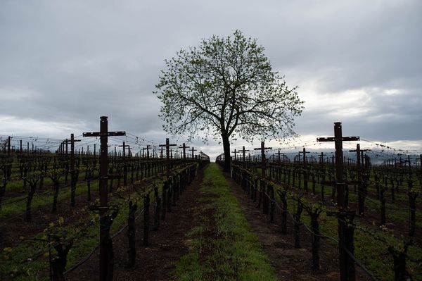 Sonoma County landscape — photography by Jaime Viera