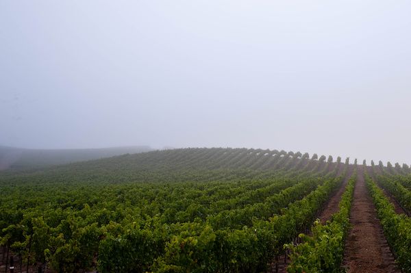 Timber Cove & Sonoma Coast project photo 5 — Sonoma Residential Services