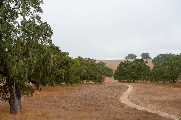 Timber Cove & Sonoma Coast project photo 7 — Sonoma Residential Services