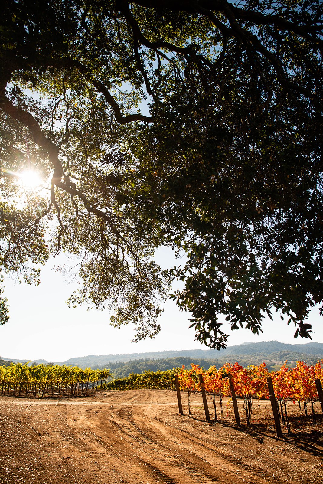 Design Services — schedule a consultation with Sonoma Residential Services
